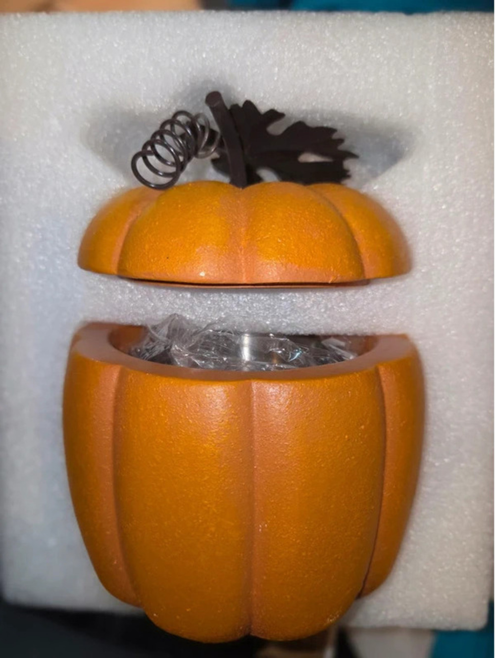 Pumpkin Halloween festive Thanksgiving